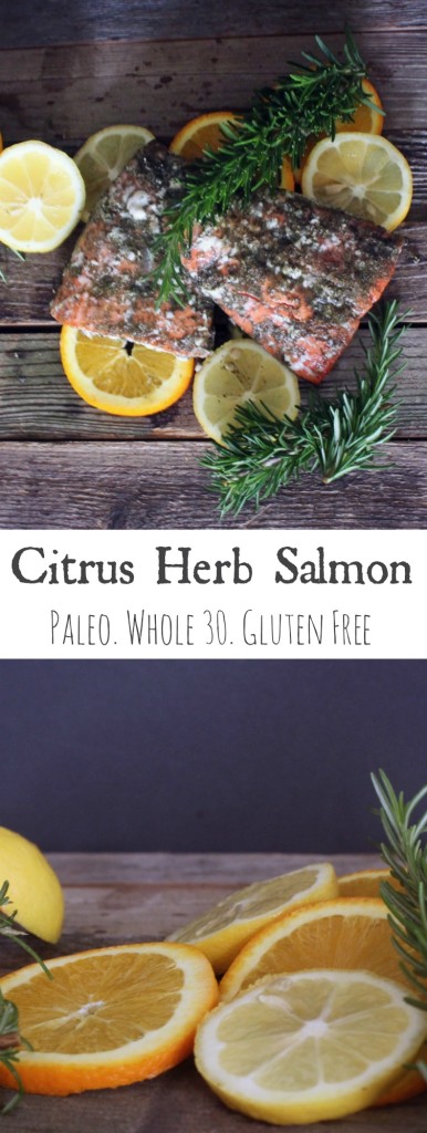 Citrus Herb Salmon Pin